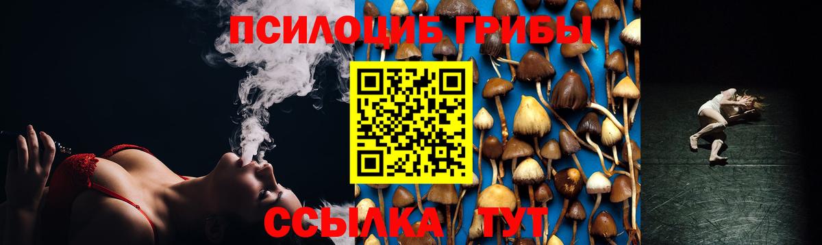 Псилоцибиновые грибы MAGIC MUSHROOMS  Вход с VPN  где купить наркоту  Хабаровск 